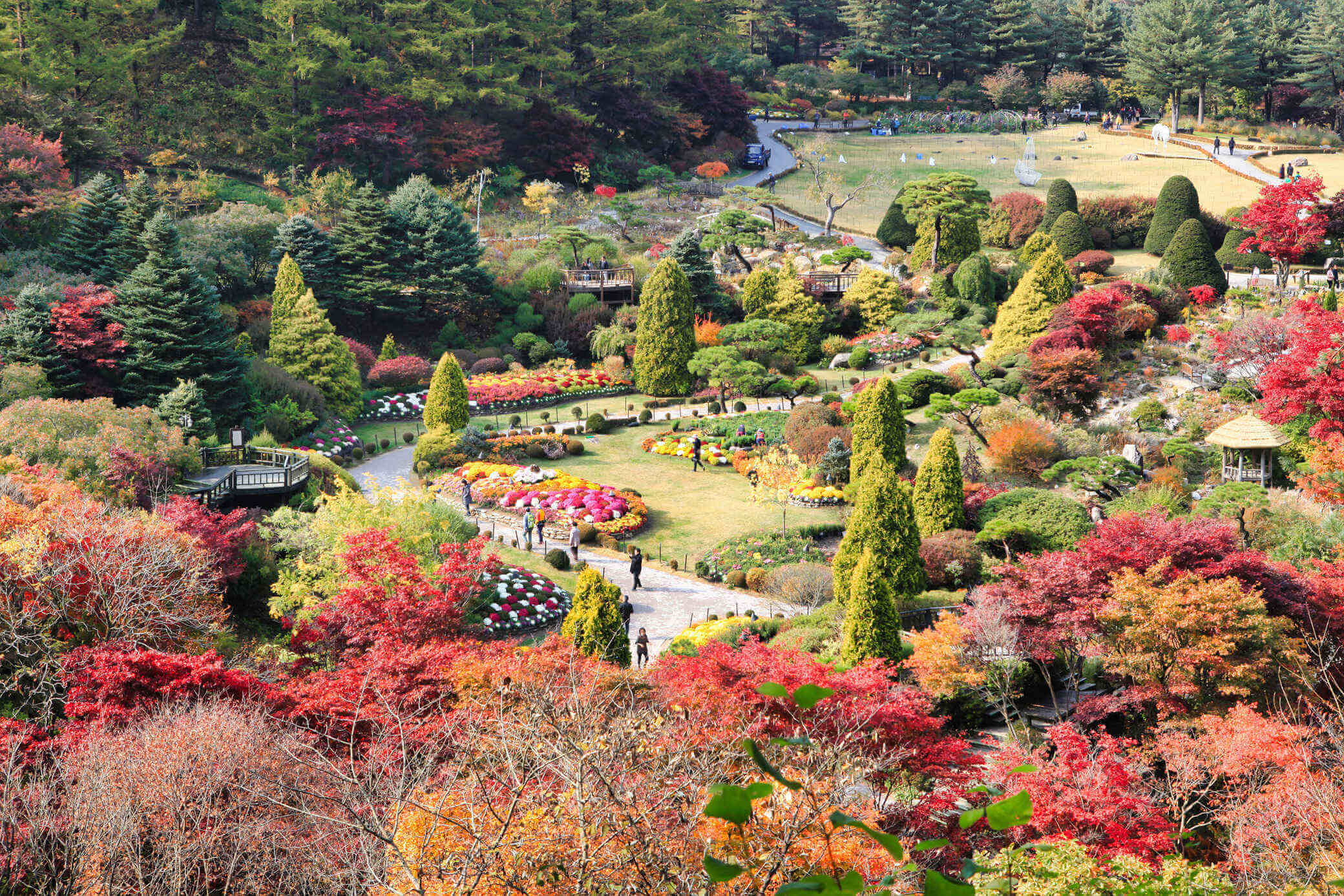 11월 가평 아침고요수목원 단풍여행 사진