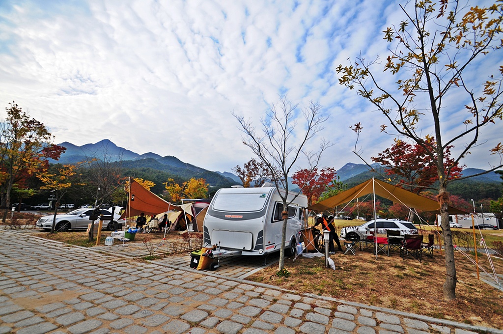 곡성 도림사오토캠핑장 소개