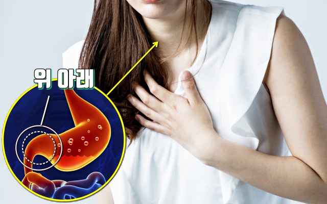 위암 초기 증상 구토, 건강 팁줌 매일꿀정보