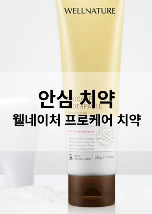 인생 찐 치약 추천 더오름 웰네이처 프로케어 치약 프로폴리스 함유 단체선물, 답례품 추천