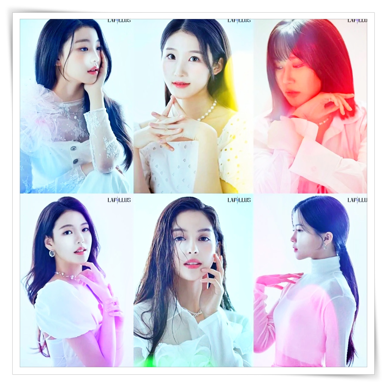 라필루스(Lapillus) 멤버