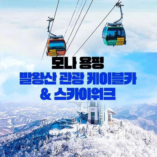 모나용평발왕산케이블카