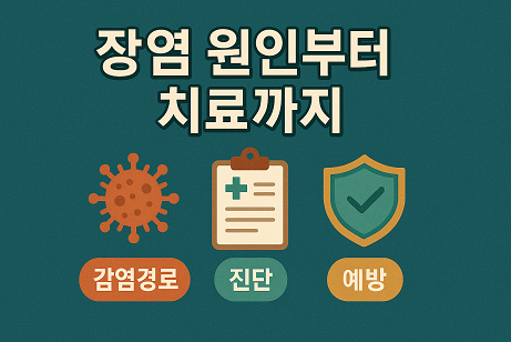 장염 원인부터 치료까지 (감염경로,진단,예방)
