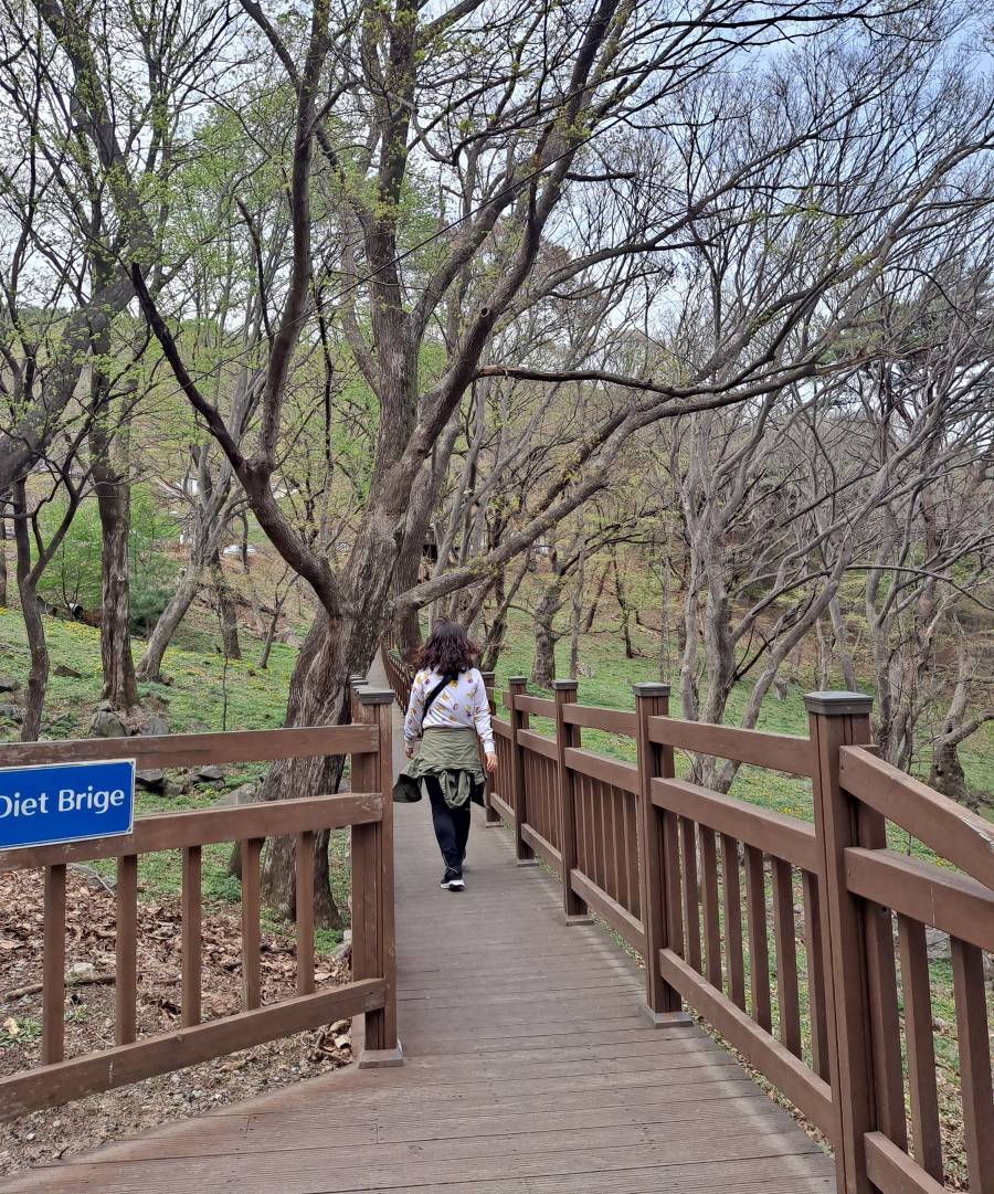 백련사 다이어트 다리