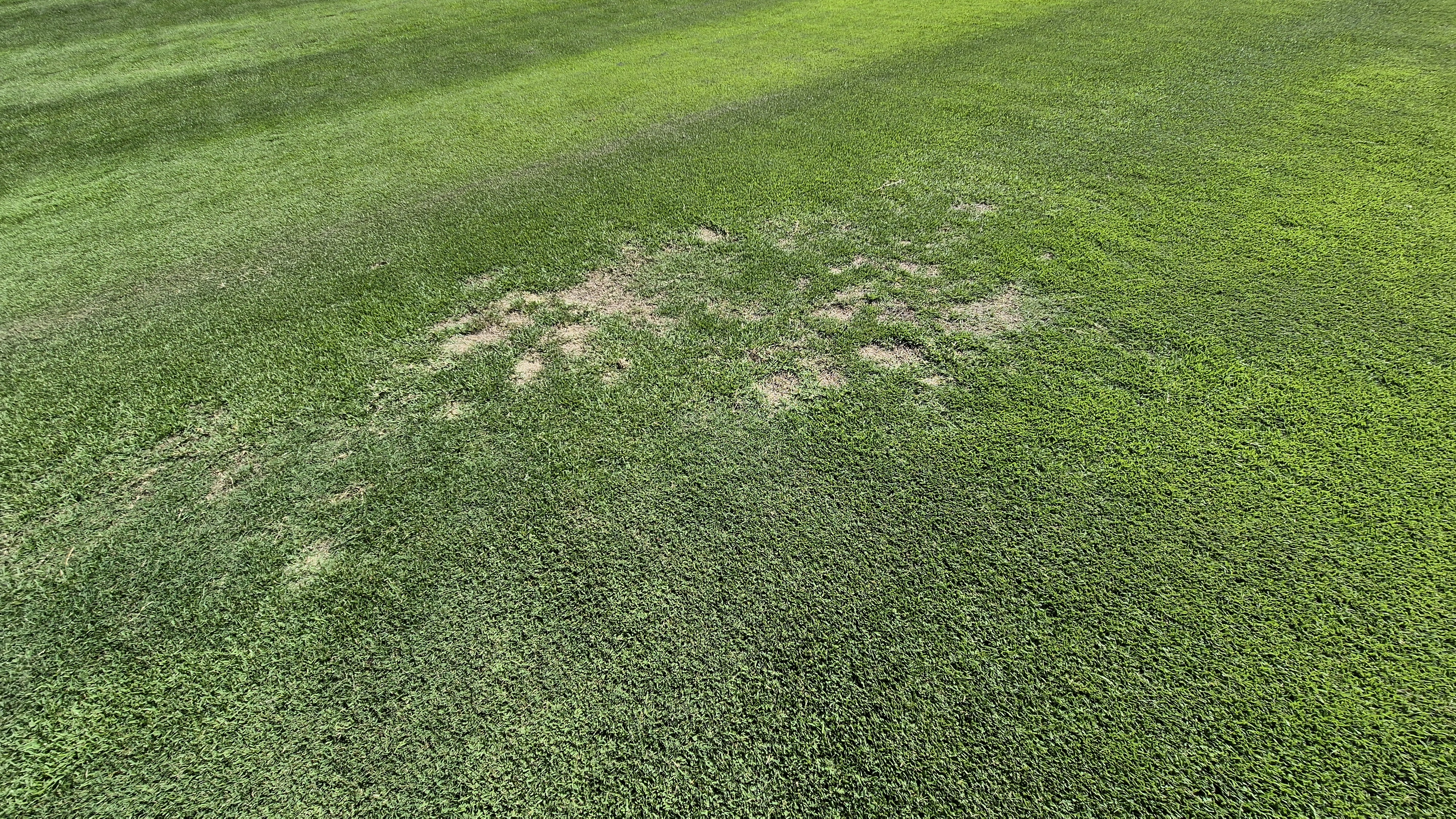 힐데스하임cc 밸리-레이크 코스 라운드 후기