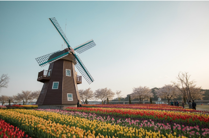 봄날의 정원을 거닐다 – 순천만 국가정원에서 만나는 봄꽃과 생태의 조화