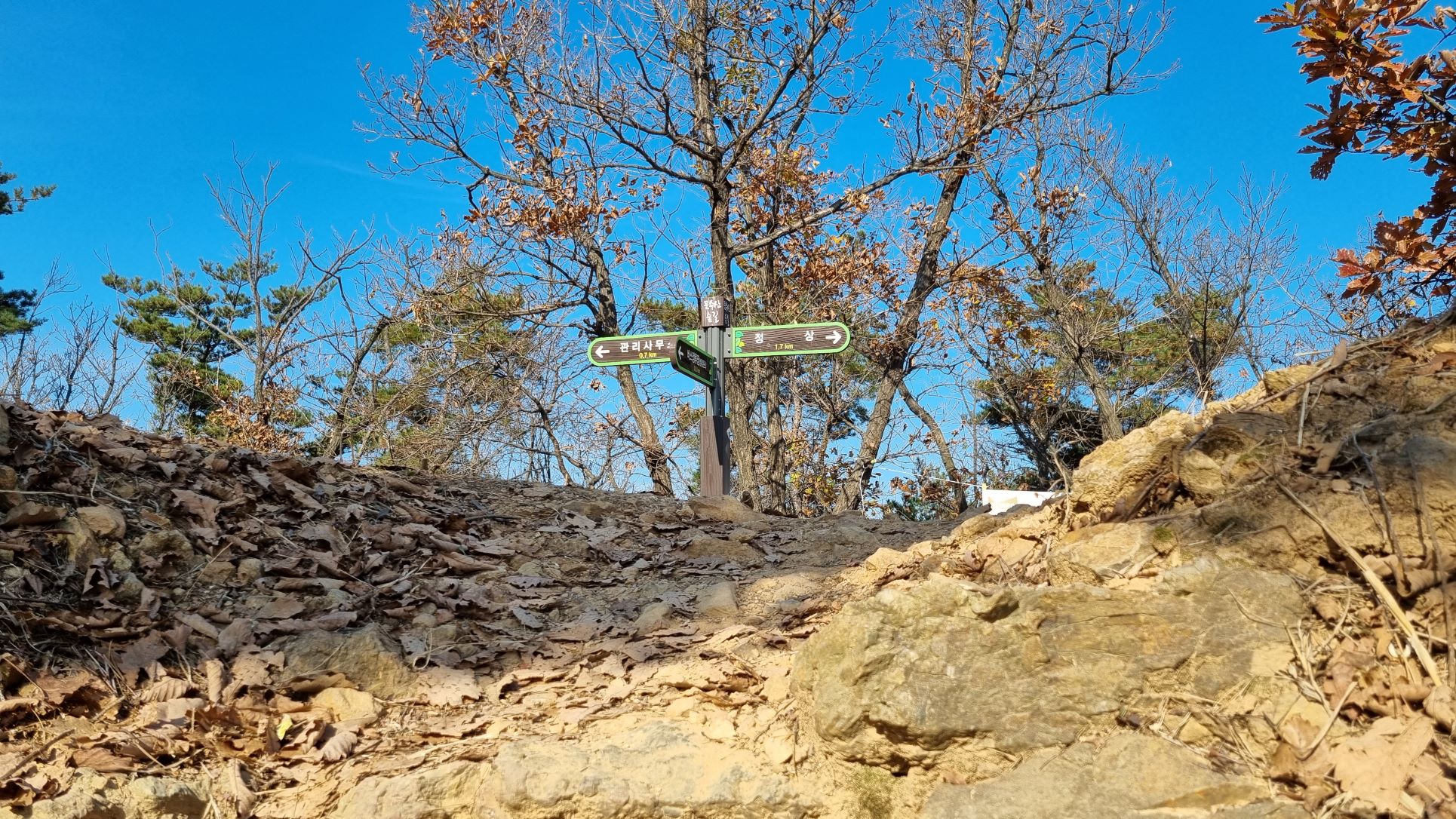 무너진 성곽 위 이정표, 좌 우 화살표, 푸른 하늘을 가린 나무들,