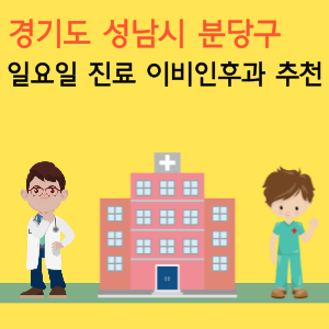 성남시 분당구 일요일 진료 이비인후과 추천