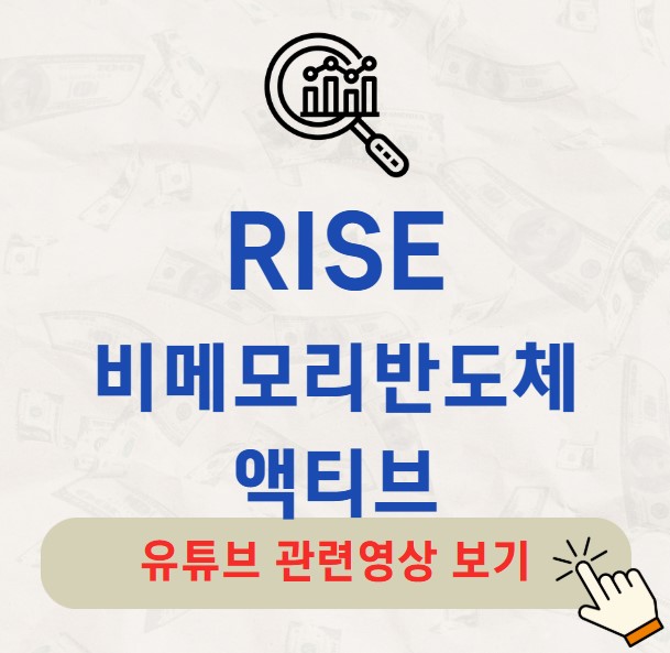 RISE 비메모리반도체액티브 주가 배당금 분배금 배당