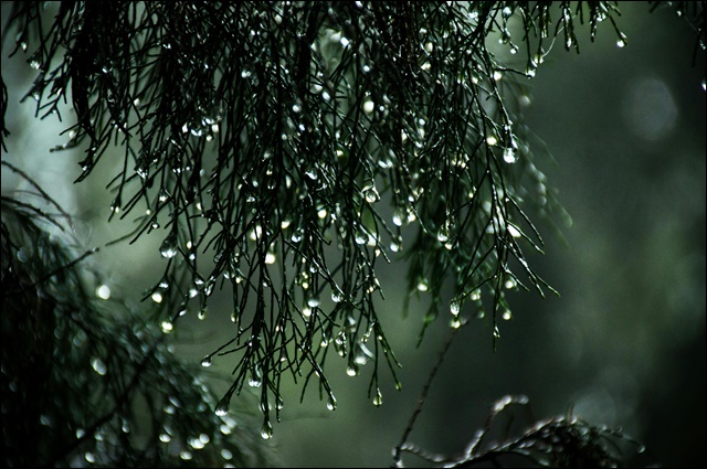 쿠쿠 창문형 에어컨 비교 추천(+구매 노하우 공유)