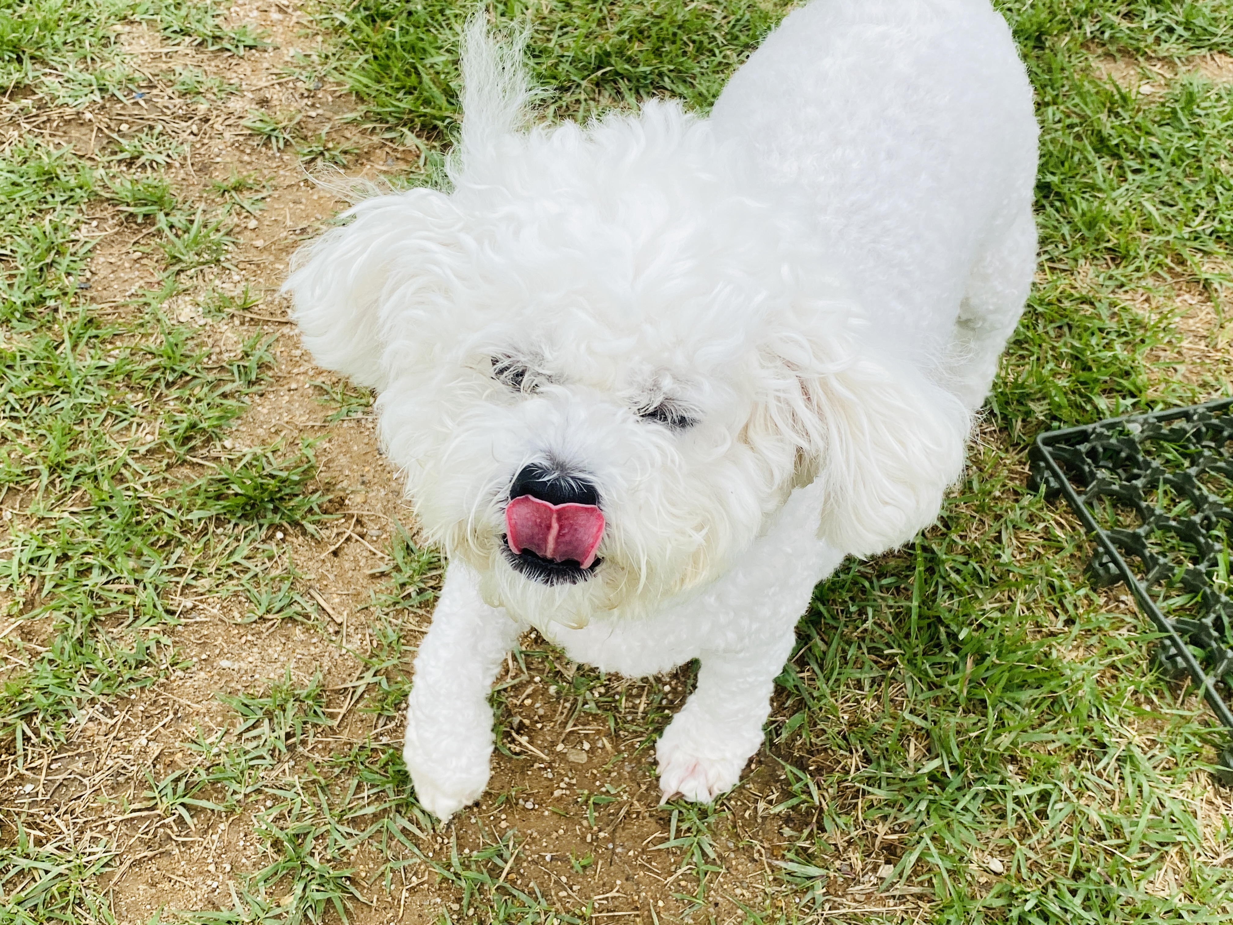 공인중개사 동차합격 공부방법