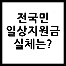 전국민_일상지원금