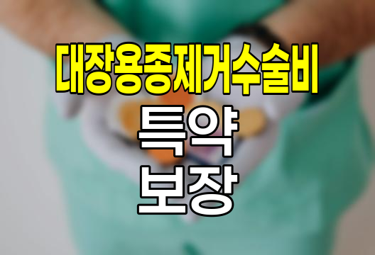 흥국화재 대장용종제거수술비 특약, 용종 개수당 보장