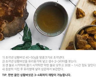 상황버섯물만드는법
