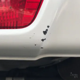 자동차 셀프 도색 광택 도장 꿀팁_38