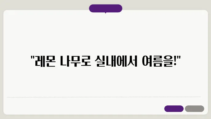 식물 레몬 나무 키우기 실내에서 키우기 좋은 과실 나무