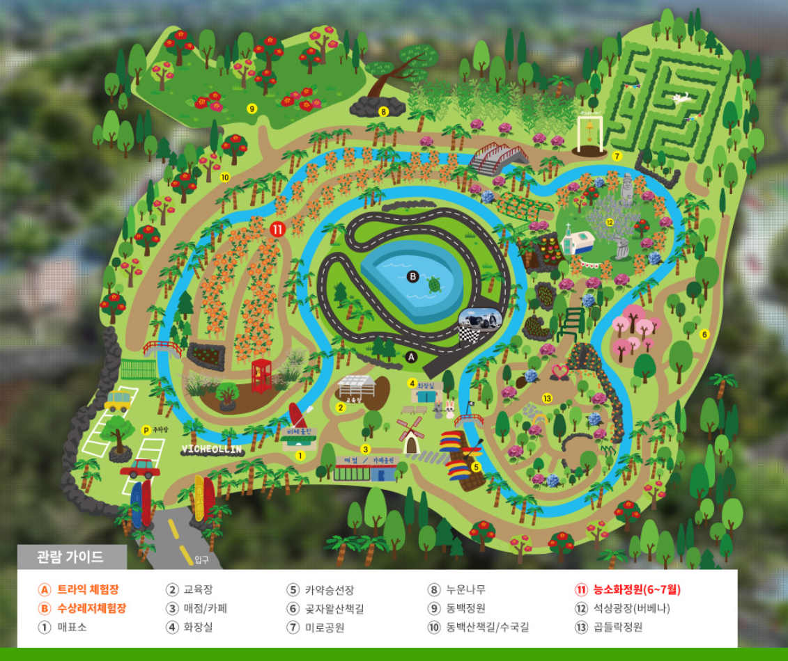 비체올린 능소화축제