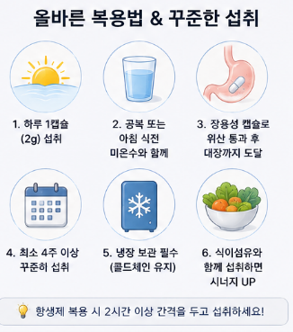 비피젠-내돈내산-유산균-후기-성분-효과-복용법