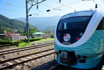 동해산타열차 시간표 예매가능한 날 가격_8