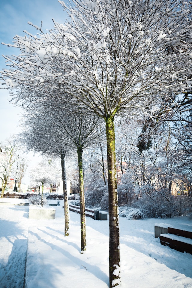 빙판길 사고 과실 비율 100% 정확히 아는 법