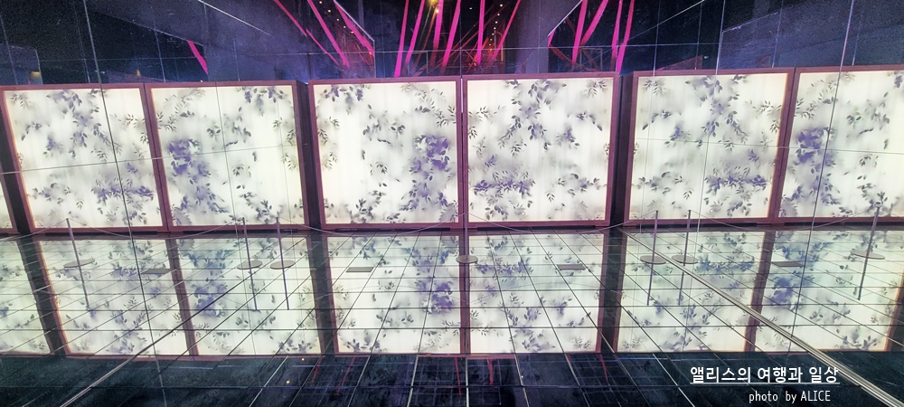 해운대 뮤지엄원 치유의기술, 부산 실내 가볼만한곳, 부산 전시 + 33% 할인예약방법