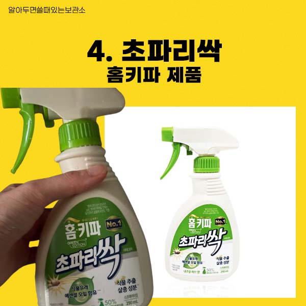 초파리 날파리 제거방법 다이소 리스테린 초파리싹