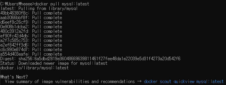 mysql 이미지를 다운로드 완료