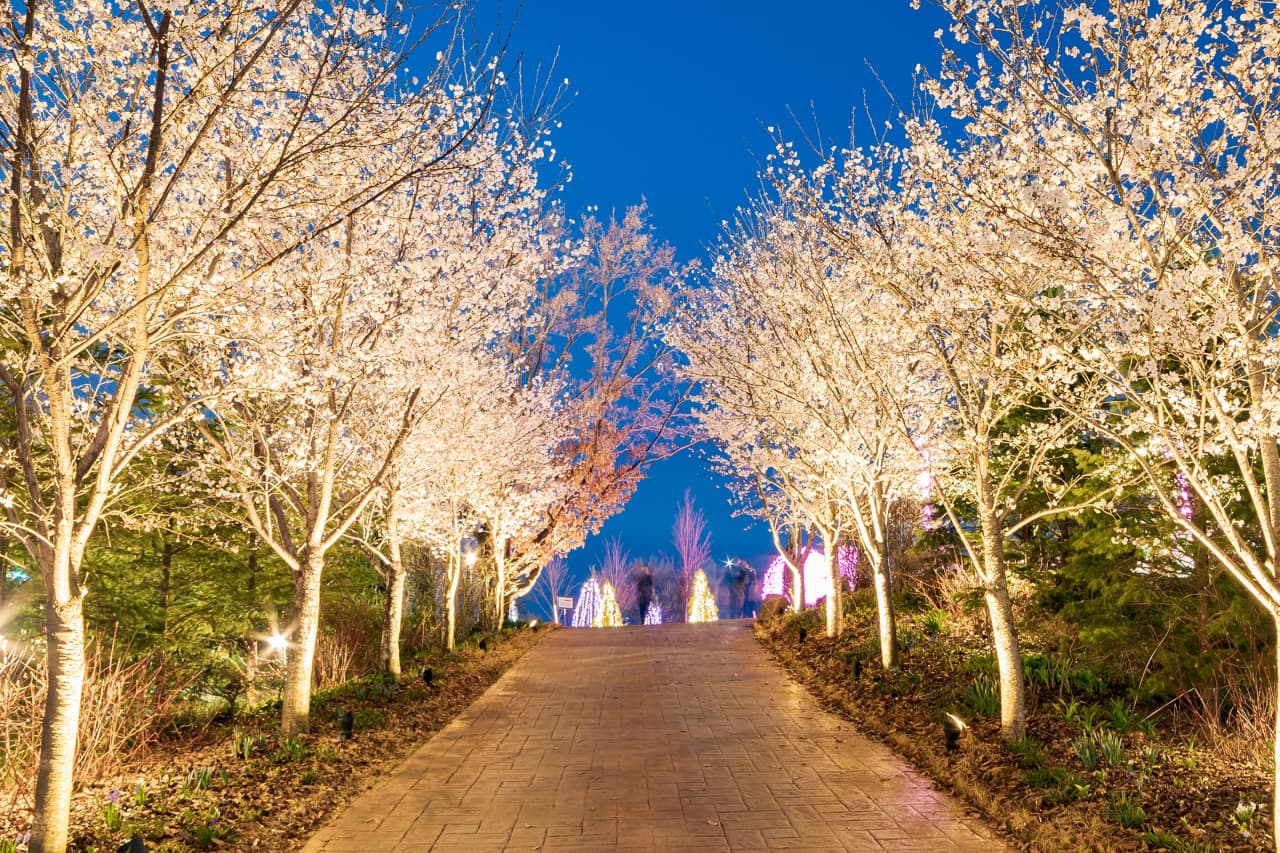 파주 가볼만한 곳 ❘ 자연과 문화가 공존하는 여행지 추천