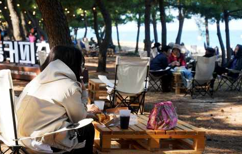 강릉커피축제 2025 일정·장소·체험 프로그램 꿀팁 총정리! 한 번에 즐기는 커피&바다 여행