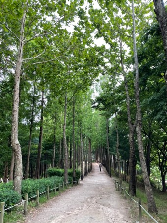 걷기 편한 길 찾기