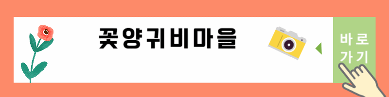 꽃양귀비마을 사진컨테스트