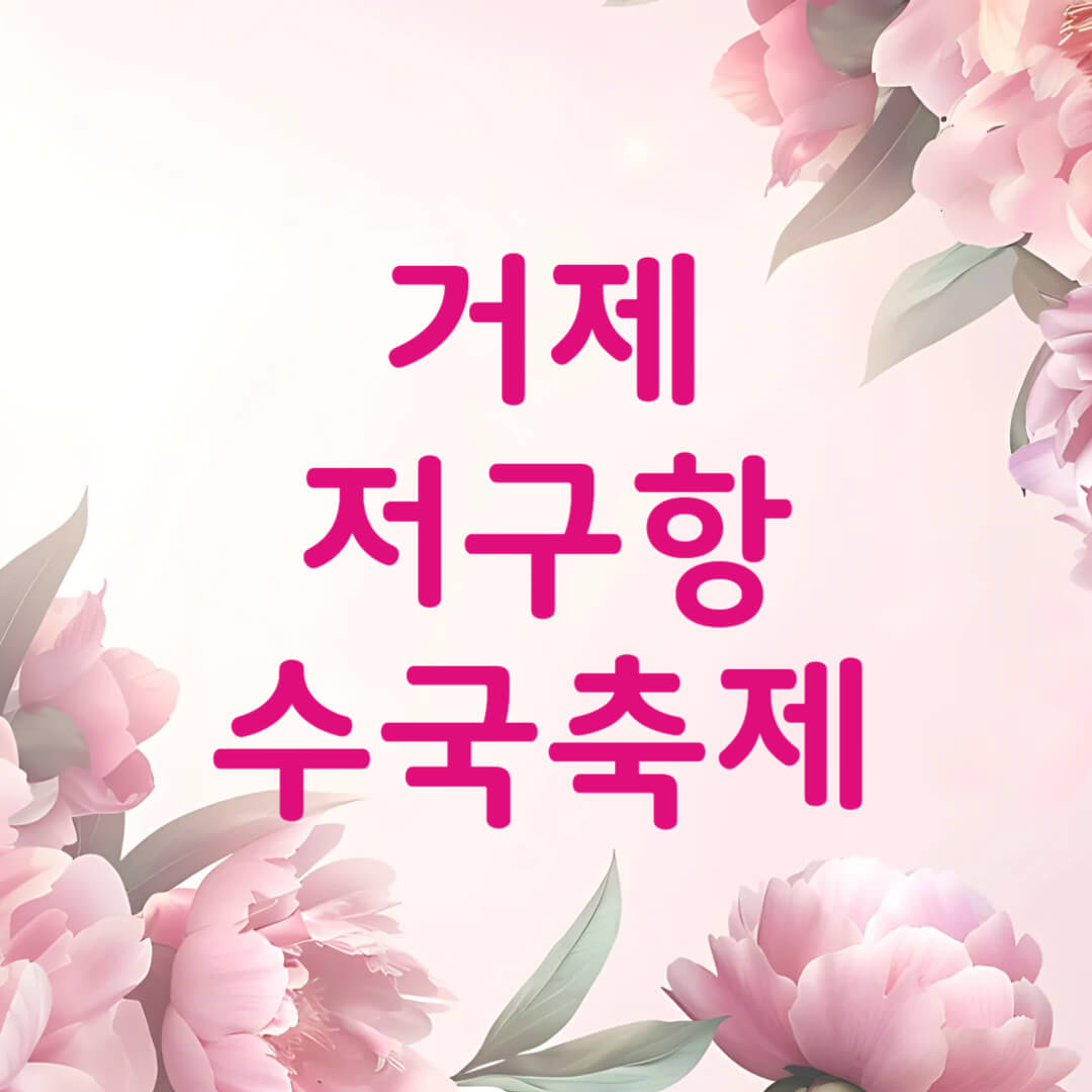 거제 저구항 남부면 수국 축제 기간