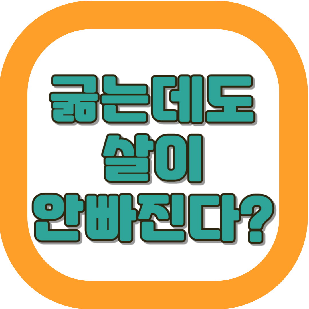 프로바이오틱스 유산균 추천 섭취방법