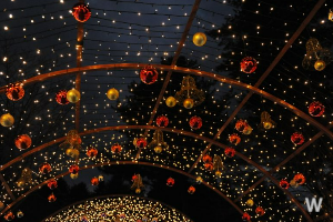 별빛축제 이미지 2