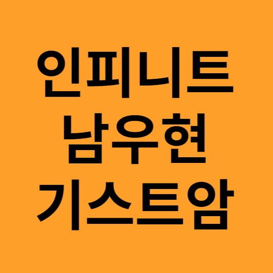 인피니트 남우현 기스트암 알아보기