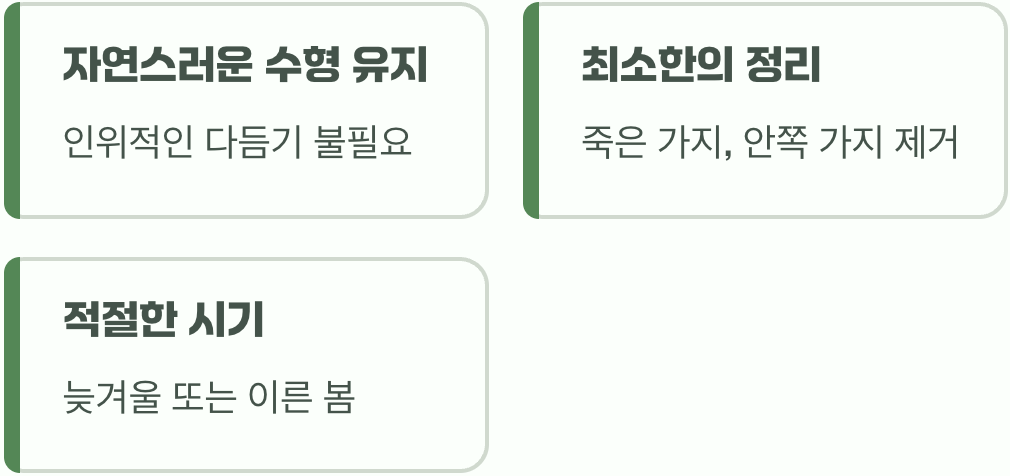 비결 4. 그대로의 멋, '가지치기'는 최소한으로