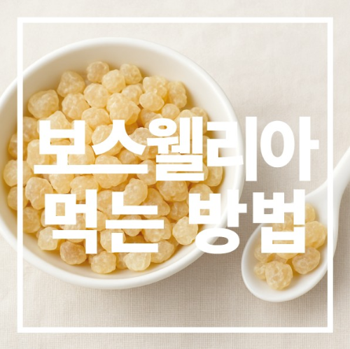 보스웰리아 먹는 방법