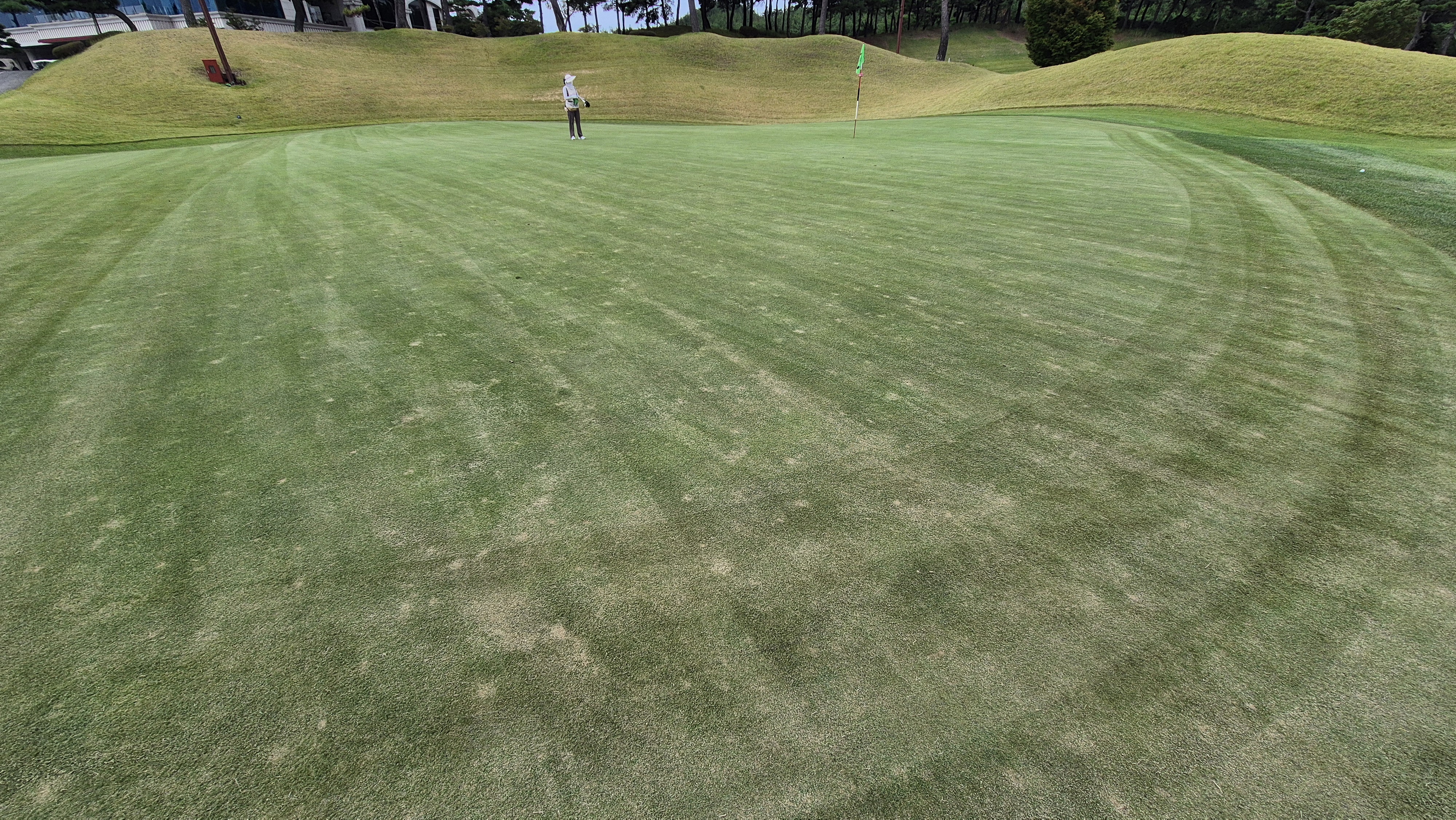 서산수cc 그린 관리 상태