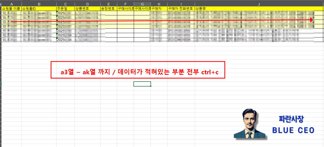 구매대행-부가세-샵마인-접속후-파란사장-양식-선택-액셀-다운로드-a3열-ak열-전부-복사