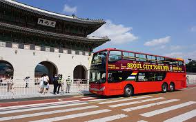 시티투어 버스로 즐기는 국내 도시 여행(서울, 부산, 대전) 관련사진