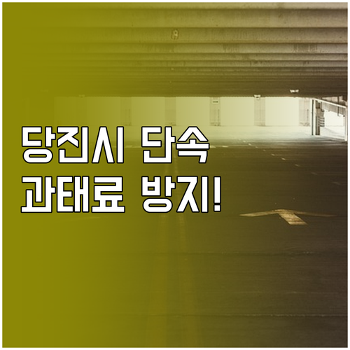 당진시 주정차단속 알림 서비스 신청 ..