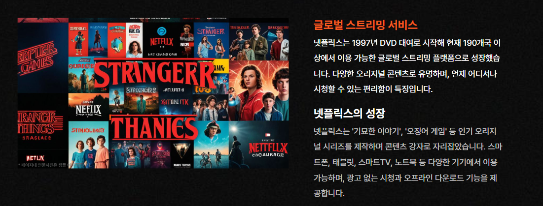 넷플릭스란 무엇일까?