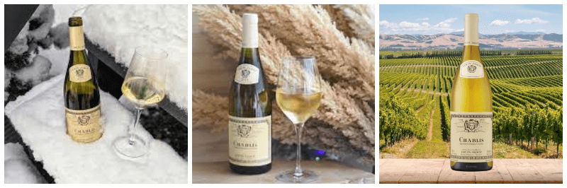 루이 자도 샤블리 2021 사진 3개