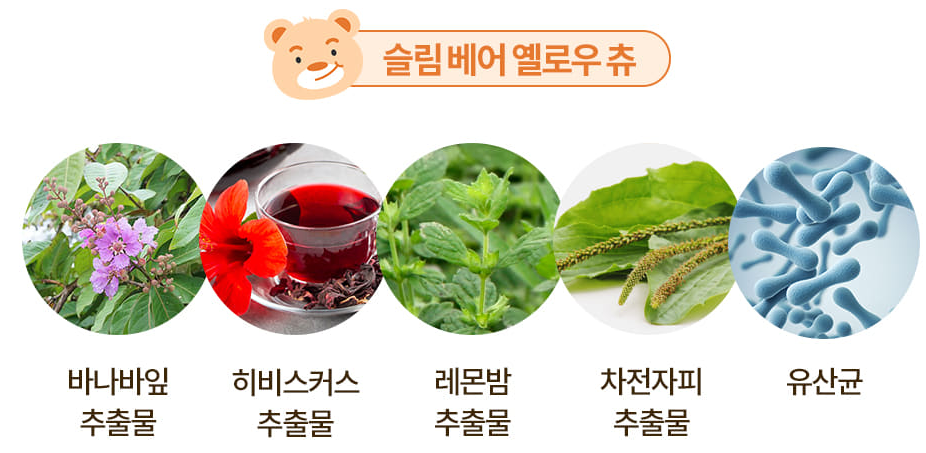 뉴베츄,뉴베츄 핑츄,슬림베어츄,다이어트 보조제,가르시니아,붓기 개선,체지방 감소,핑크츄,다이어트 후기,부작용