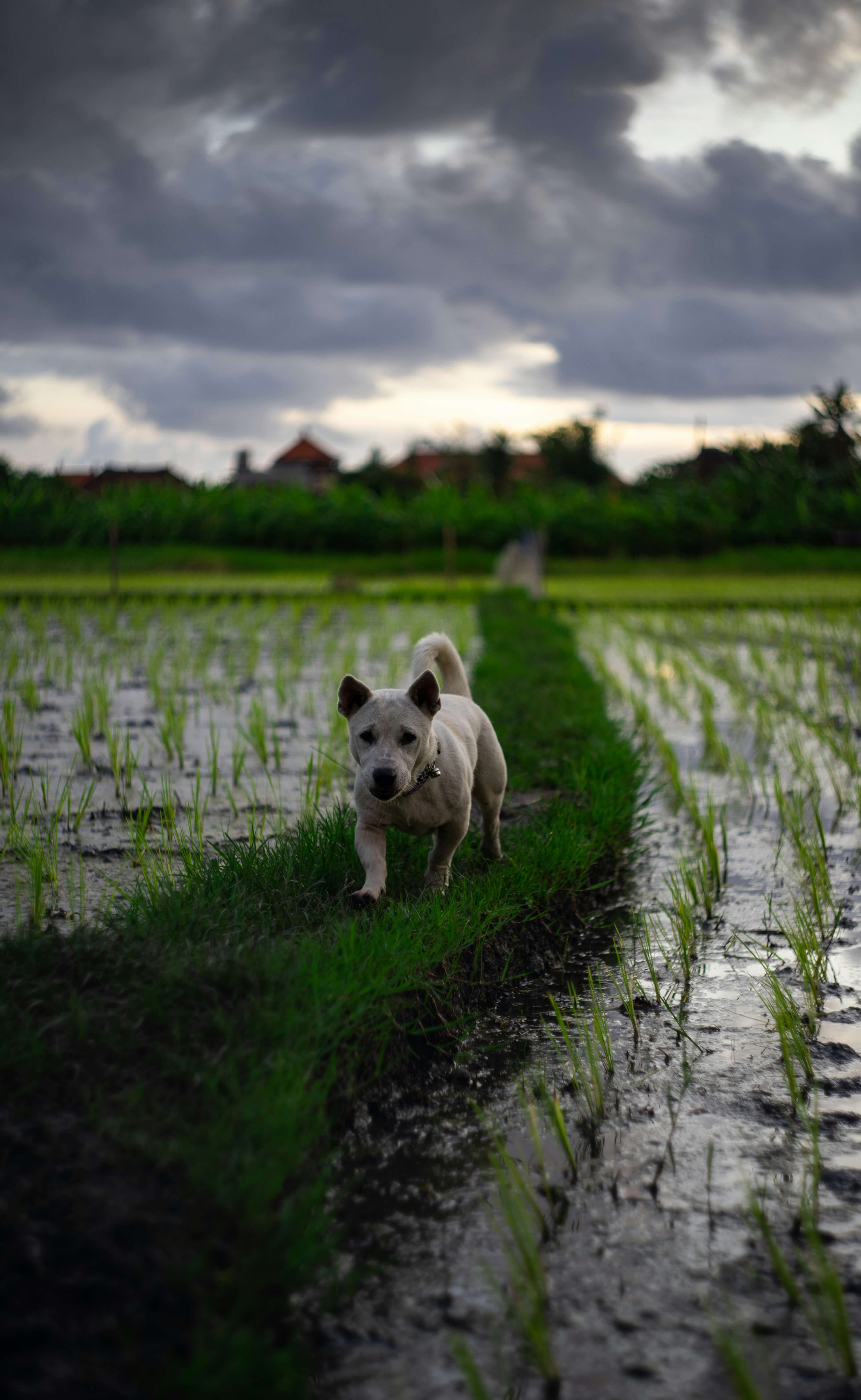 조상 땅 찾기 총정리