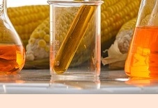 장이 부었을때 증상