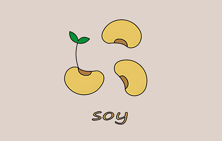 신선한-렌틸콩