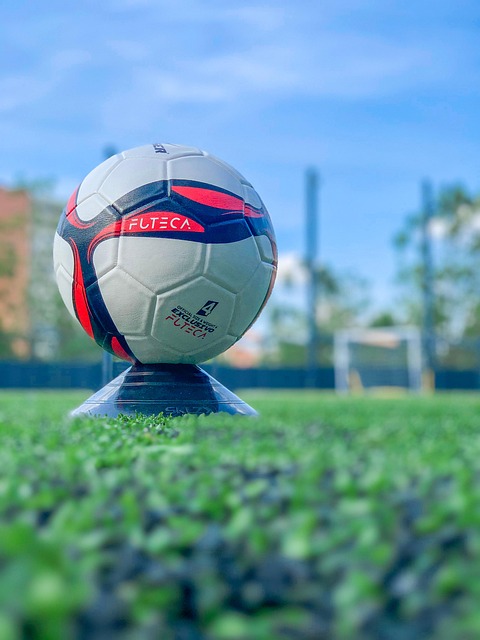 2025 아프리카 네이션스컵 중계 모잠비크 카메룬 주요선수 전력비교