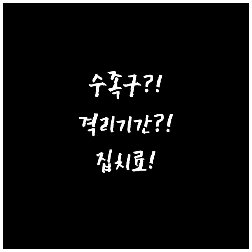 서초구 수족구 격리 기간과 집에서 치..