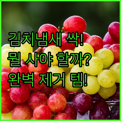 냉장고 탈취제 뭘 사야 할까 꿉꿉한 ..